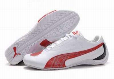 puma stabilisé puma stabilisé